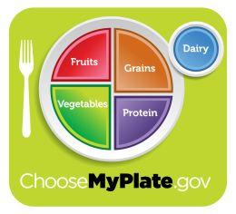 Food Pyramid's icon depicting the food groups on a plate