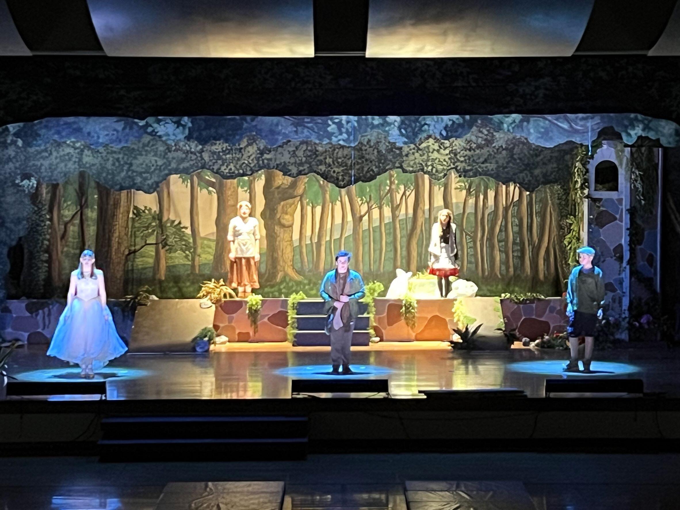 Five Students performing in school play, Into the Woods. two in the rear, three up front